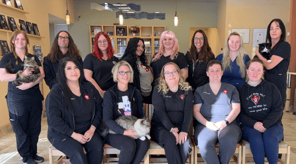 Meet Our Team